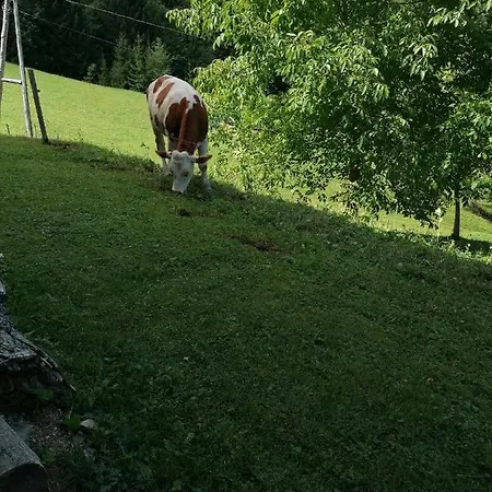 Vakantiehuis Jurcek Kotlje