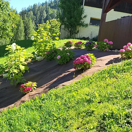 Casa vacanze Jurcek Kotlje