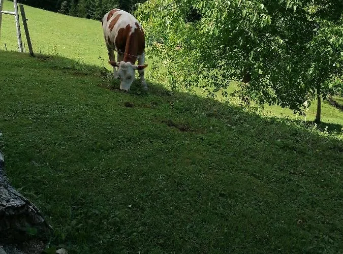 度假居 Jurcek Kotlje