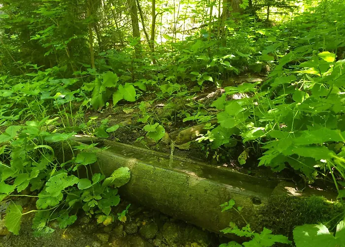 Jurcek 度假居 Kotlje