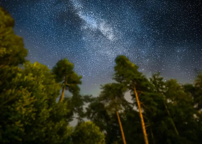 Jurcek Casa de Férias *